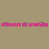 Princess 245 Wall Lettering