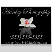 Flower 41 Custom Decal