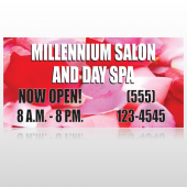 Millennium Spa 493 Custom Decal