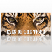 Eyes 370 Back Window